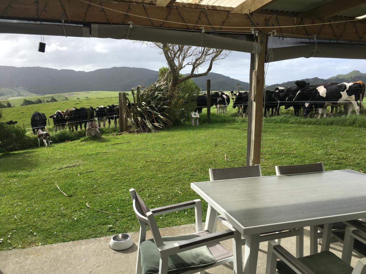 Chalet Cullen, Mangawhai Buitenkant foto